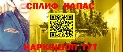 spice Гусиноозёрск