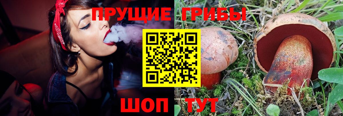 Псилоцибиновые грибы Cubensis Междуреченск