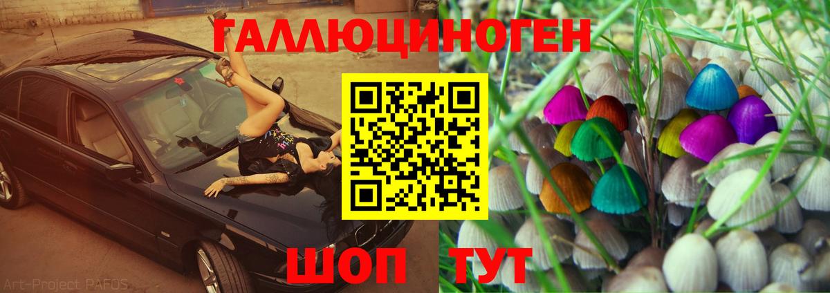 как найти наркотики  Псилоцибиновые грибы Psilocybine cubensis  Вход с VPN  Междуреченск 